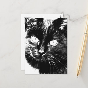 Niedliche Funky Black Cat Kitten Eyes Sketch Postkarte