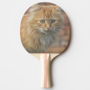 Niedliche Funky Ginger Cat Kitten Face Tischtennis Schläger