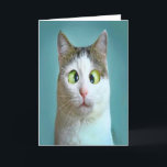 Niedliche Funny Crazy Cat Geburtstagskarte<br><div class="desc">Niedliche Funny Crazy Cat Geburtstagskarte von THEORY OF SPASS Grußkarte.</div>