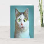 Niedliche Funny Crazy Cat Geburtstagskarte Feiertagskarte<br><div class="desc">Niedliche Funny Crazy Cat Geburtstagskarte von THEORY OF SPASS Grußkarte.</div>