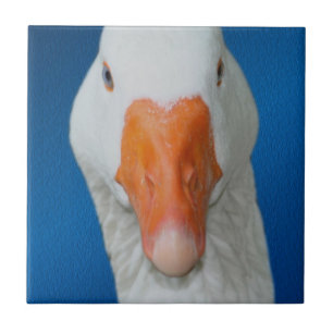 Niedliche Gänsenatur Fliese