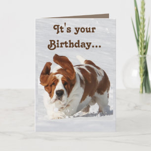 niedliche Geburtstag Card mit Basset Hound/Champag Karte
