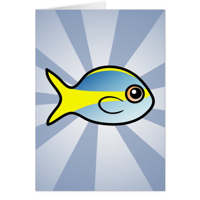 Niedliche GelbschwanzSnapper (Vorne)