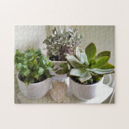 Niedliche gepolsterte Sukkulente mit Seashell-Foto Puzzle