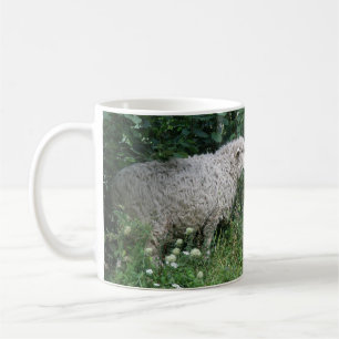 Niedliche gierige Schafe essen Tasse