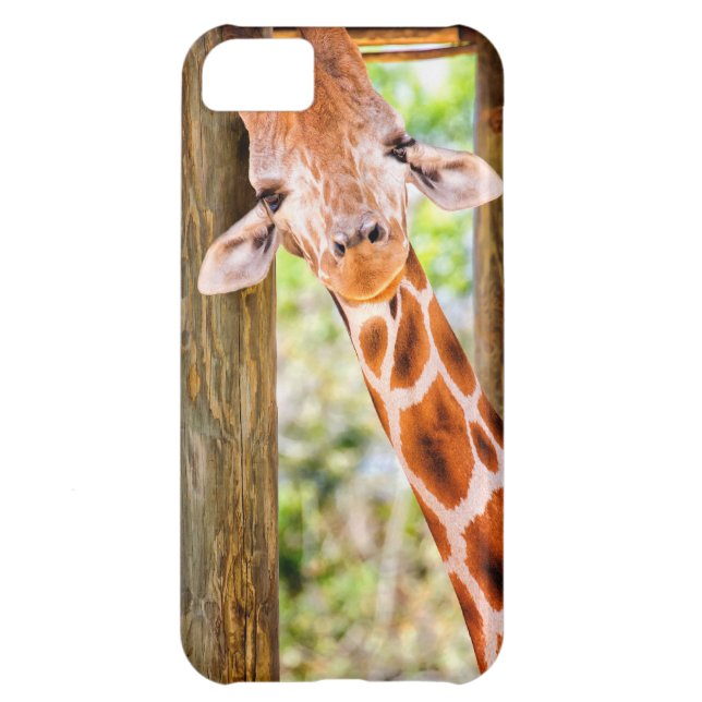 Niedliche Giraffe Case-Mate iPhone Hülle (Rückseite)