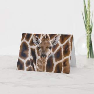 niedliche Giraffe Geburtstagskarte Karte