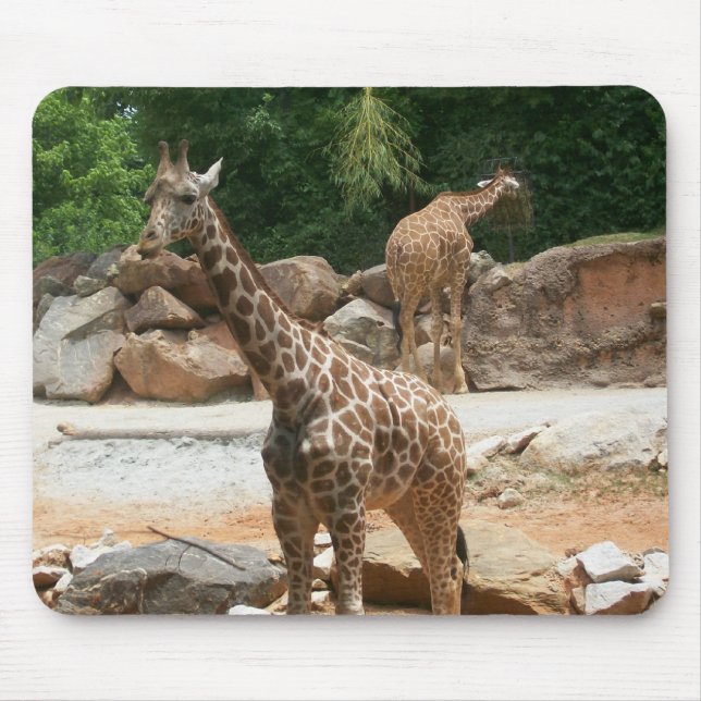 Niedliche Giraffe Mousepad (Vorne)