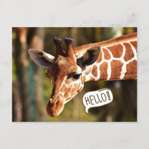 Niedliche Giraffe Postkarte