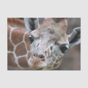 Niedliche Giraffe Seidenpapier