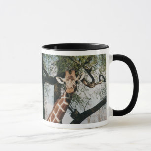Niedliche Giraffen-Tasse Tasse