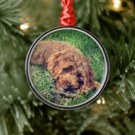 Niedliche Golden Doodle Premium Ornament Aus Metall