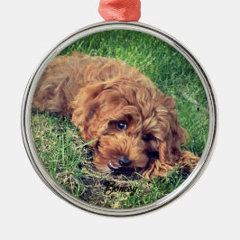 Niedliche Golden Doodle Premium Ornament Aus Metall