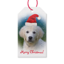Niedliche Golden Retriever Puppy Wear Weihnachtsma