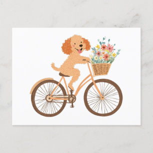 Niedliche Goldendoodle Dog Biking Spring Blumen Postkarte