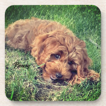 Niedliche goldene Doodle-Getränkekappe