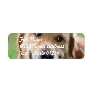 Niedliche goldene Retriever-Postmarken