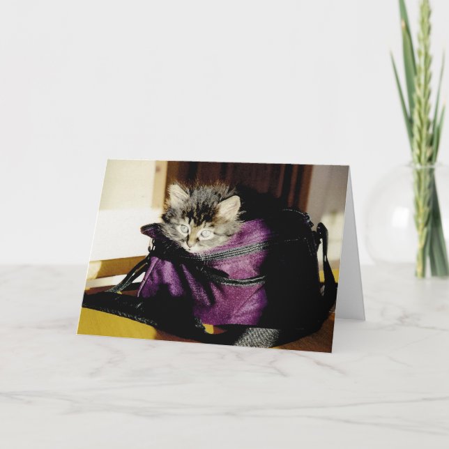 Niedliche graue Kätzchen in purer Überlegung Karte (Vorderseite)