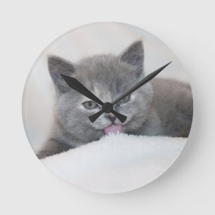 Niedliche graue Katze Zunge raus! Runde Wanduhr