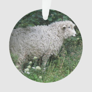 Niedliche graue Schafe essen Akrylverzierung Ornament