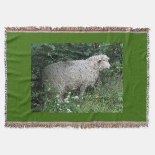 Niedliche graue Schafe essen Throw Blanket Decke