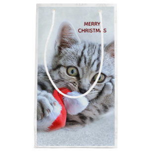Niedliche graue Tabby Cat mit Weihnachtsmütze Weih Kleine Geschenktüte