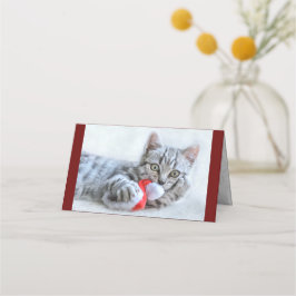 Niedliche graue Tabby Cat mit Weihnachtsmütze Weih Platzkarte