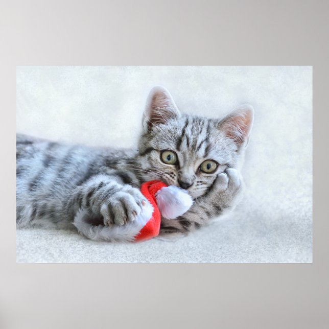 Niedliche graue Tabby Cat mit Weihnachtsmütze Weih Poster (Vorne)