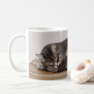 Niedliche graue Tabby Katze Schlafen im Kasten Kaffeetasse