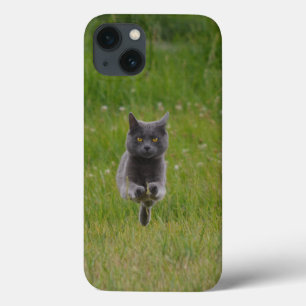 Niedliche Graukatze auf dem Grünen Gras Foto Case-Mate iPhone Hülle