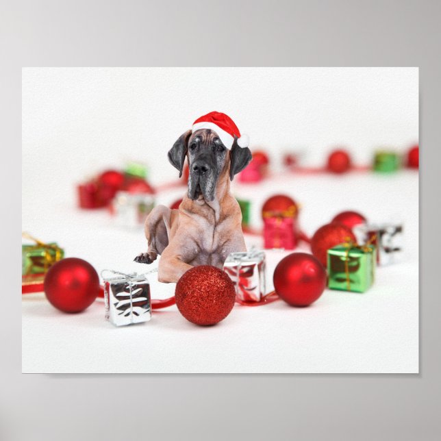 Niedliche Great Dane Hund Weihnachten Weihnachtsma Poster (Vorne)