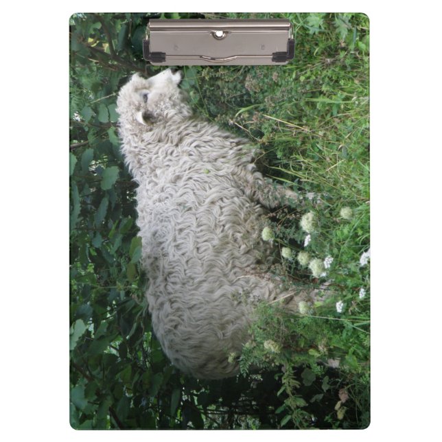 Niedliche Greedy Sheep Eating Clipboard Klemmbrett (Vorderseite)