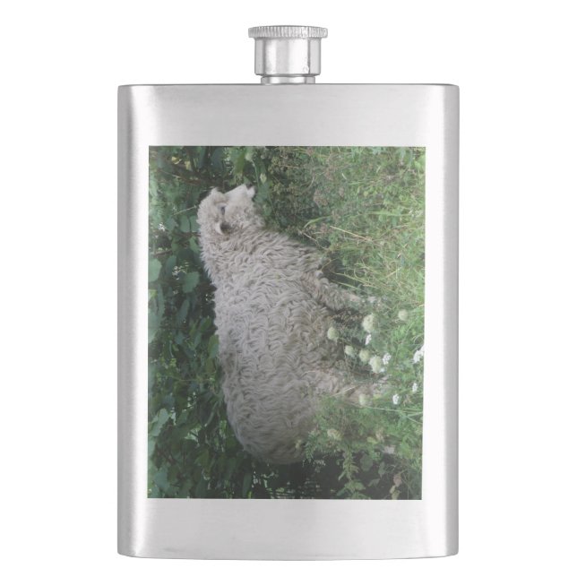 Niedliche Greedy Sheep Eating Flask Flachmann (Vorderseite)