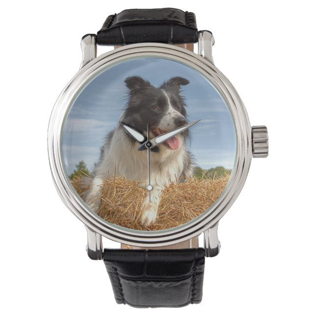 Niedliche Grenz Collie Dog Armbanduhr (Vorderseite)