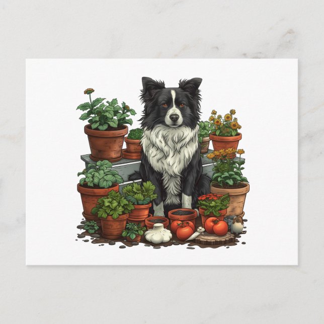 Niedliche Grenz-Collie-Gartenarbeit Postkarte (Vorderseite)