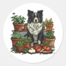 Niedliche Grenz-Collie-Gartenarbeit