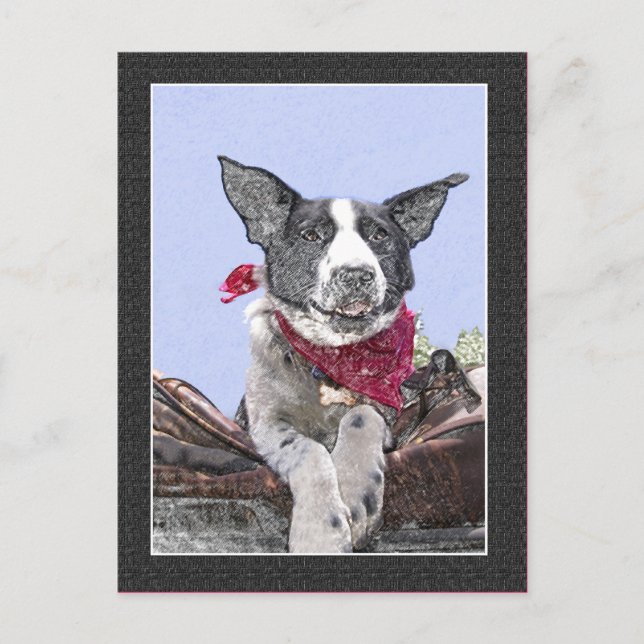 Niedliche Grenz-Collie Heeler Mix Dog Sketch Postkarte (Vorderseite)