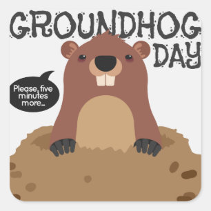 Niedliche groundhog TagesCartoonillustration Quadratischer Aufkleber