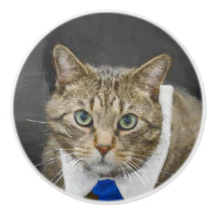 Niedliche grün-mit Augen braune Tabbykatze, die Keramikknauf