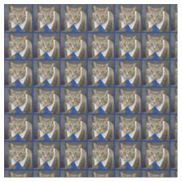 Niedliche grün-mit Augen braune Tabbykatze, die Stoff