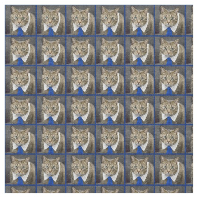 Niedliche grün-mit Augen braune Tabbykatze, die Stoff (Nahaufnahme)