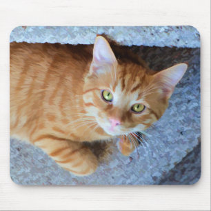 Niedliche grüne Augen Orange Tabby Cat Mousepad