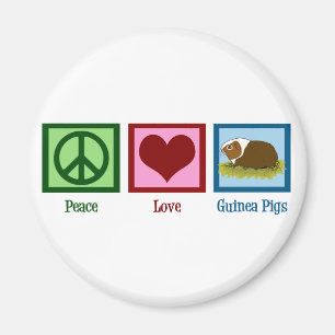 Niedliche Guinea Magnet