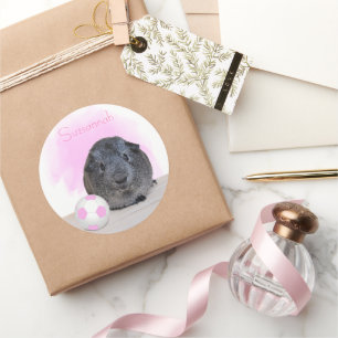 Niedliche Guinea Pig Pink Soccer Ball Individuelle Runder Aufkleber