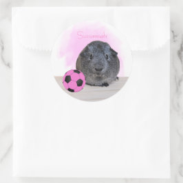 Niedliche Guinea Pig Pink Soccer Ball Individuelle Runder Aufkleber