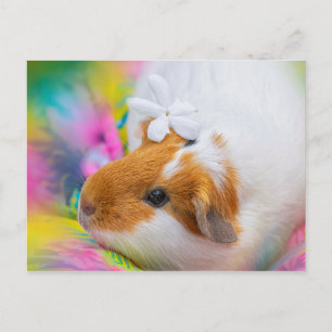 Niedliche Guinea Postkarte