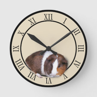 Niedliche Guinea  Runde Wanduhr