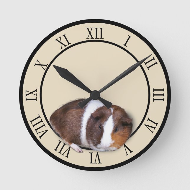 Niedliche Guinea  Runde Wanduhr (Vorderseite)