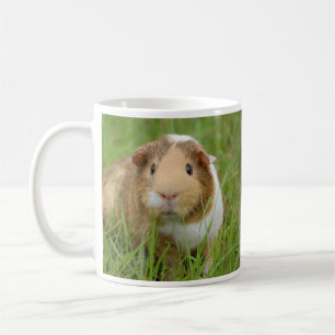 Niedliche Guinea Schwein im Gras Tasse