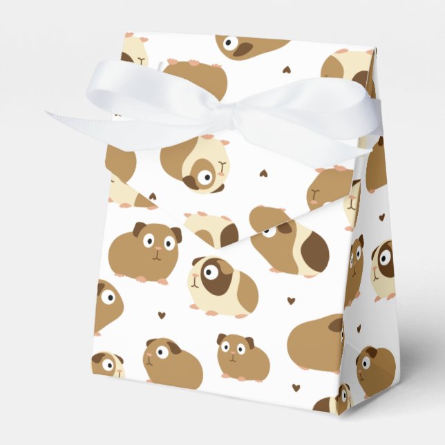 Niedliche Guinea Schweine Gefälligkeitsbox Geschenkschachtel (Vorderseite)